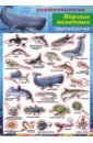 Обложка Морские животные. Наклейки тематические