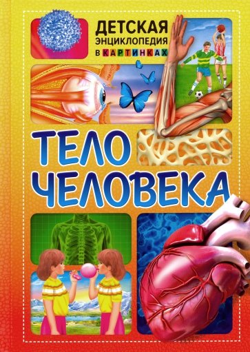 Тело человека