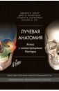 Обложка Лучевая анатомия. Атлас с иллюстрациями Неттера