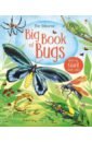 Bone Emily Big Book of Bugs bone emily big book of bugs