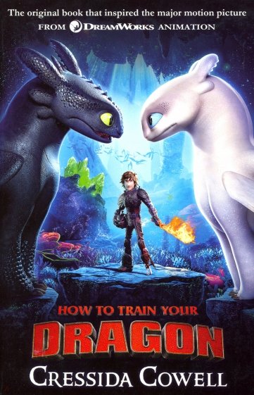 How to Train Your Dragon