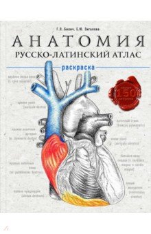 Анатомия: русско-латинский атлас-раскраска