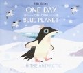 One Day On Our Blue Planet: In The Antarctic