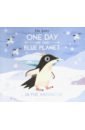 Bailey Ella One Day On Our Blue Planet: In The Antarctic dark night and dawn book sets in english books for kids books