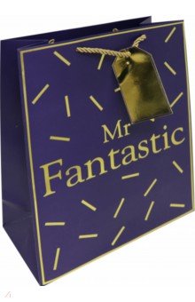   Mr.Fantastic (2632.412.7 ) (81227)