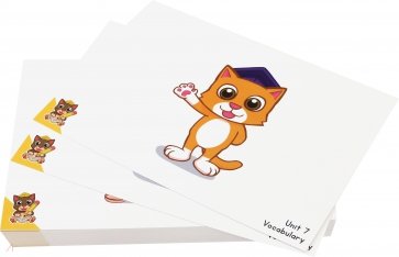 Fun English for Schools Flashcard for Teacher 2B