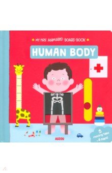 

Human Body