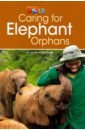 O`Sullivan Jill Korey Caring for Elephant Orphans. Level 3 wild reads elephants