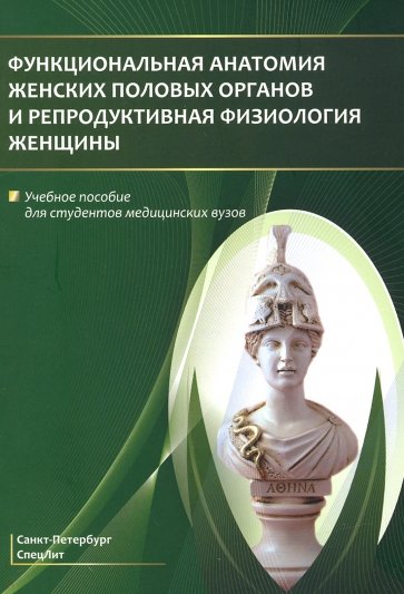 Функциональная анатомия женских половых органов