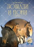 Лошади и пони. Иллюстрированная энциклопедия