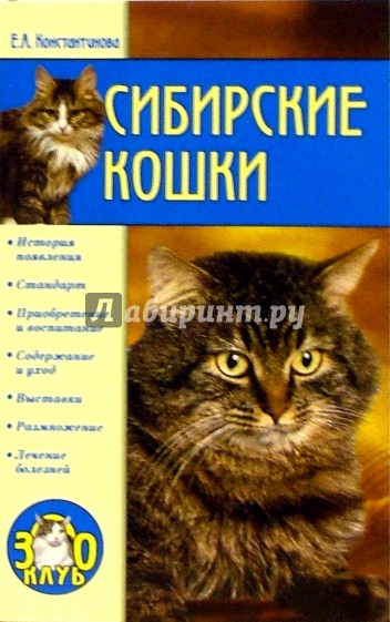 Сибирские кошки