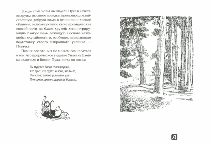 Иллюстрация 1 из 32 для Винни-Пух и древняя мистика - Джон Уильямс | Лабиринт - книги. Источник: Лабиринт