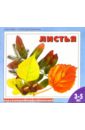 Листья: Раскраска для детей от 3-5 лет фрукты раскраска для детей 3 5 лет