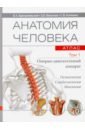 Крыжановский Валерий Анатольевич, Никитюк Дмитрий Борисович, Клочкова Светлана Валерьевна Анатомия человека. Атлас. В 3-х томах. Том 1. Опорно-двигательный аппарат николенко владимир николаевич никитюк дмитрий борисович клочкова светлана валерьевна соматическая конституция и клиническая медицина