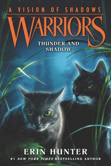 Warriors. A Vision of Shadows #2. Thunder and Shadow