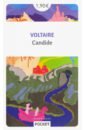 Voltaire Francois-Marie Arouet Candide andersen hans christian la petite sirene et autres contes