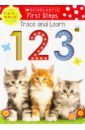 Trace and Learn 123 learning mats match trace