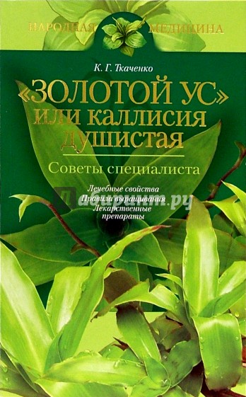 "Золотой ус", или каллисия душистая. Советы специалиста