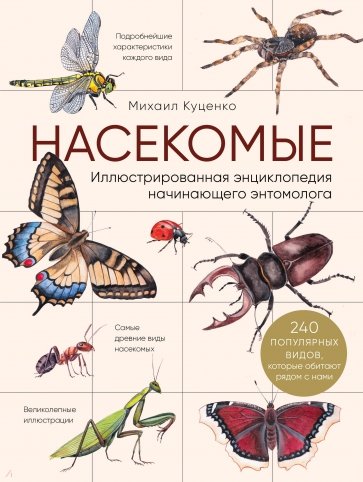 Насекомые. Иллюстрированная энциклопедия начинающего энтомолога. 240 популярных видов