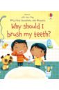 Daynes Katie Why Should I Brush My Teeth? daynes katie why do tigers have stripes