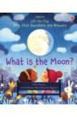 Daynes Katie What is the Moon? daynes katie the story of cars cd