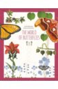 Schiavo Rita Mabel World Of Butterflies johanna basford ivy and the inky butterfly a magical tale to colour