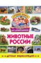 Животные России. Детская энциклопедия животные россии
