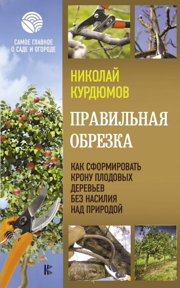 Правильная обрезка. Как сформировать крону