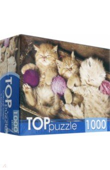 TOPpuzzle-1000 