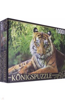 Puzzle-1000     (K1000-0649)
