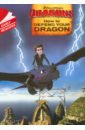 How to Defend Your Dragon sandbrook dominic adventures in time fury of the vikings