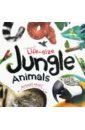 fold out fun jungle Life-size: Jungle Animals