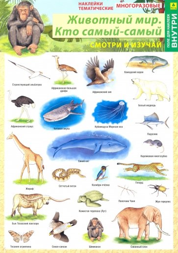 Животный мир. Кто самый-самый. Наклейки тематические