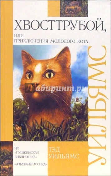 Хвосттрубой, или Приключения  молодого кота: роман