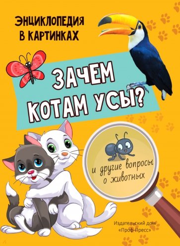 Зачем котам усы?