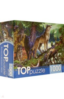 Puzzle-1000       (1000-2161 )