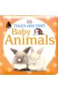 Baby Animals wild animals baby touch and feel