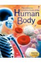 цена Claybourne Anna Complete Book of the Human Body