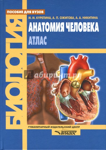 Анатомия человека: Атлас