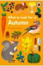 Jenner Elizabeth What to Look For in Autumn around the world in 80 days