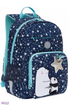 Рюкзак школьный с карманом для ноутбука, для девочки (RG-164-2).