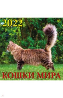 Zakazat.ru: Календарь на 2022 год Кошки мира (70204).