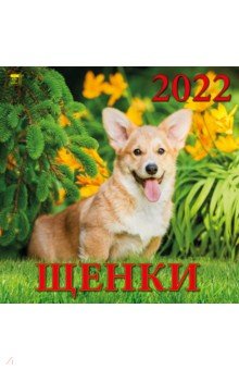 Zakazat.ru: Календарь на 2022 год Щенки (70206).