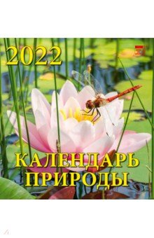 Zakazat.ru: Календарь на 2022 год Календарь природы (30210).