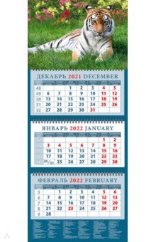Zakazat.ru: Календарь квартальный на 2022 год Год тигра. Сила и грация (14202).