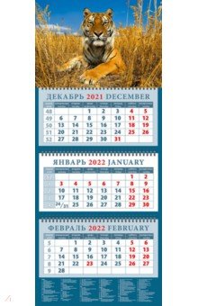 Zakazat.ru: Календарь квартальный на 2022 год Год тигра. Молодой красавец в зарослях травы (14208).