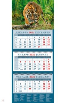 Zakazat.ru: Календарь квартальный на 2022 год Год тигра. Настоящий хозяин джунглей (14214).