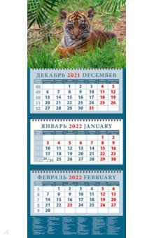 Zakazat.ru: Календарь квартальный на 2022 год Год тигра. Будущий хозяин джунглей (14220).