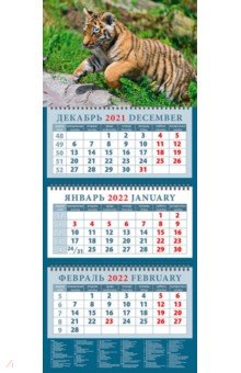 Zakazat.ru: Календарь квартальный на 2022 год Год тигра. Симпатичный тигренок в прыжке (14222).