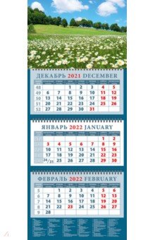 Zakazat.ru: Календарь квартальный на 2022 год Летний пейзаж с ромашками (14238).
